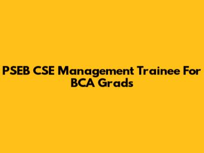 PSEB CSE Management Trainee For BCA Grads
